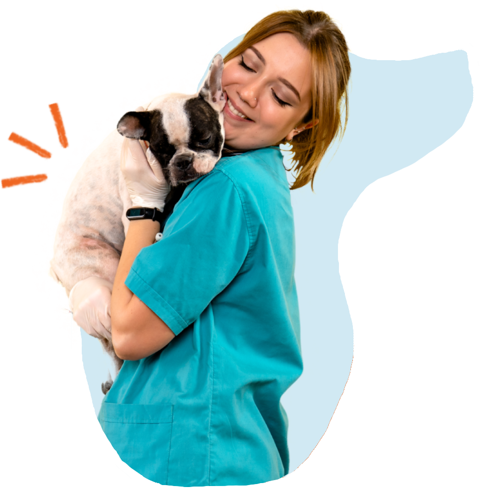 medico fidelie
